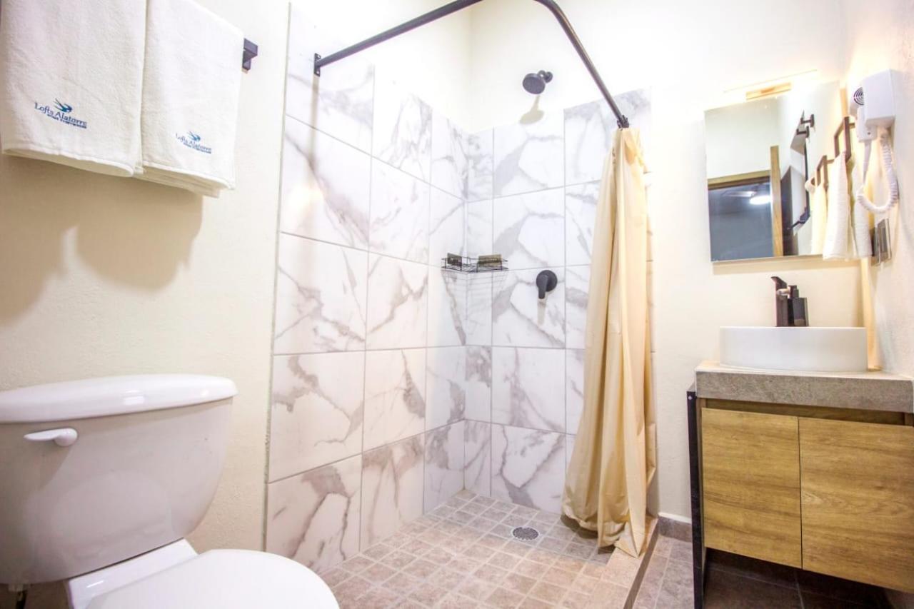 Loft Alatorre Apart otel Guadalajara Dış mekan fotoğraf