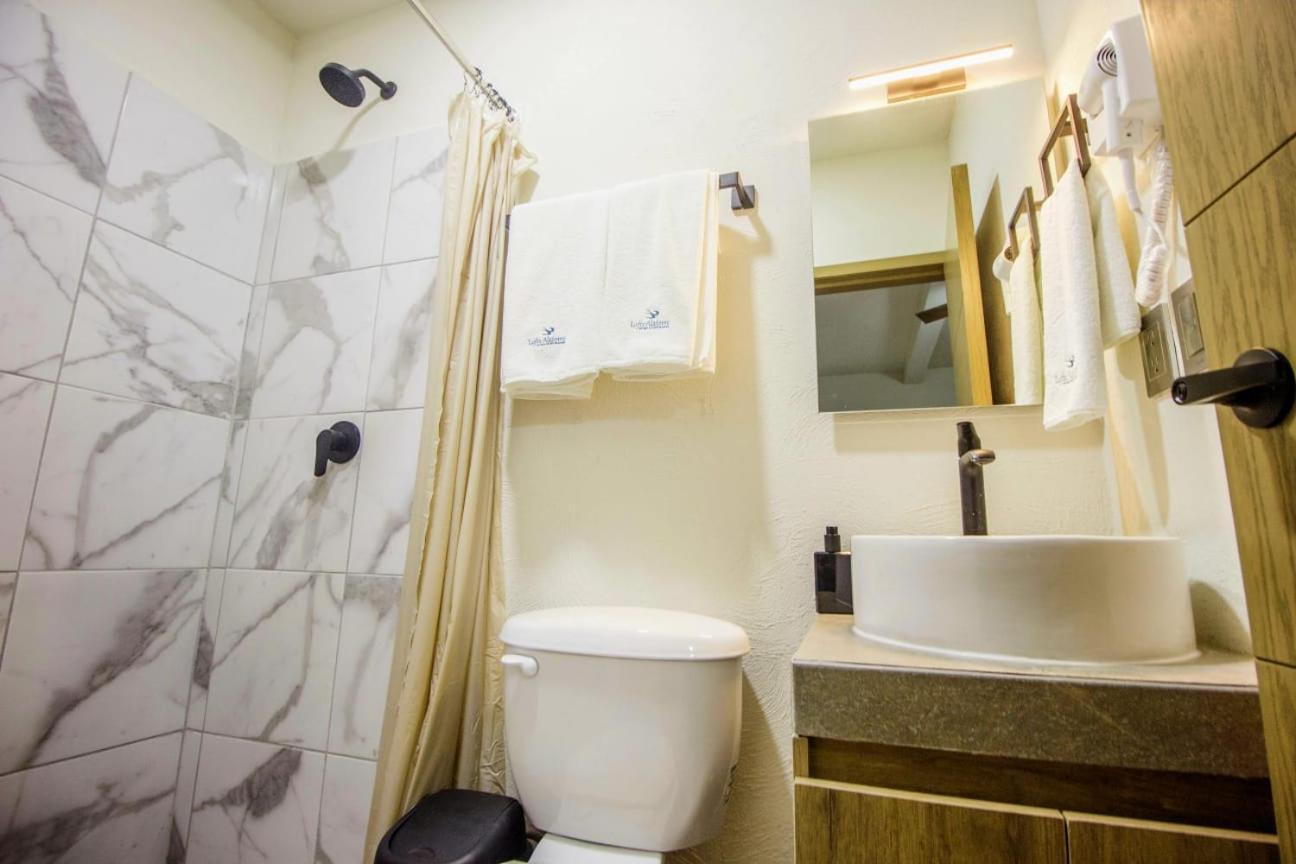 Loft Alatorre Apart otel Guadalajara Dış mekan fotoğraf